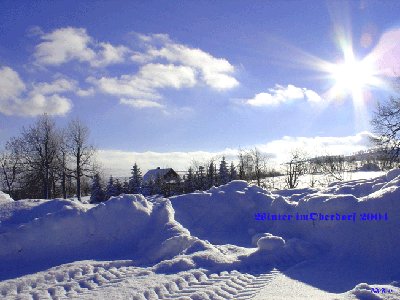 Blick in Richtung Grenze